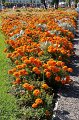 Buga_Koblenz   024